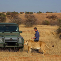 Sanctuary tour with Kevin aka the lion whisperer