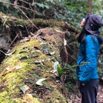 experiencing interconnection with the natural world