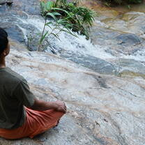 grounding in awareness and interconnection with nature