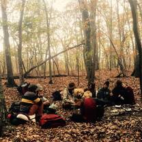 Forest hike and overnight
