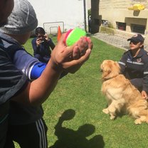 A child plays fetch with a dog as a part of therapy