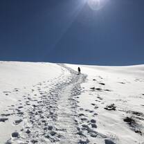 This image was captured on a hike on the Ben Lomond Trail In Queenstown! 