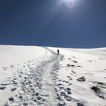 This image was captured on a hike on the Ben Lomond Trail In Queenstown! 