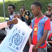 Internship at IOM