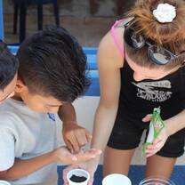 Planting seeds for the garden . . . 