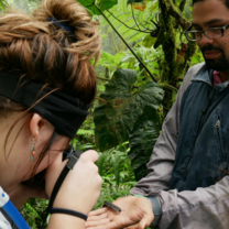 Environmental Intern viewing insect in rainforest