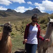 Pichincha