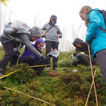 Students collecting data