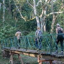 Trekking to view the chimpanzees