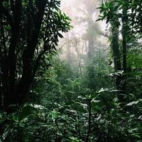 SFS Costa Rica Semester