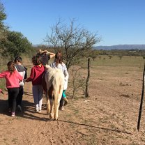 Promenade avec les enfants et les poneys
