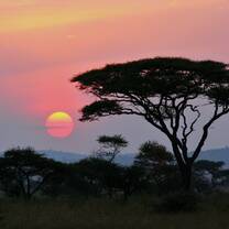 SFS Kenya Semester