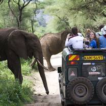 SFS Kenya Semester