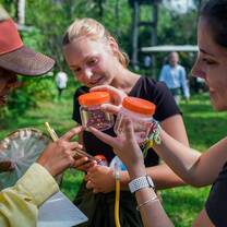 SFS Panama - butterfly research