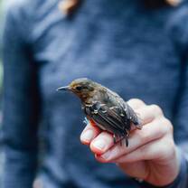 student holding a bird