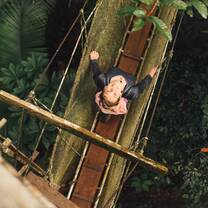 student on a canopy walkway