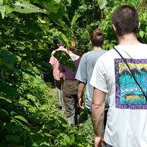 Amazon Conservation in Peru