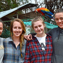 Exotic Animal Rescue in Peru