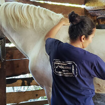 Animal Care in Guatemala