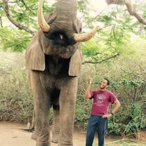Student and an open-mouth elephant in South Africa