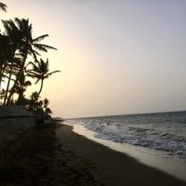 Dinner on the beach