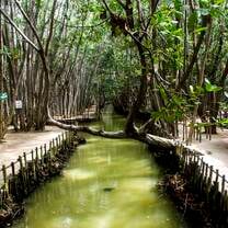 El Corchito Nature Reserve