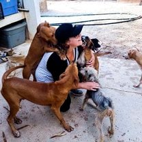 Volunteering with animals
