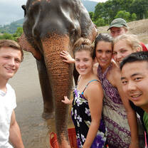 Elephant conservation work in Thailand