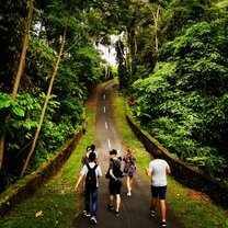 Walking around Ubud is beautiful