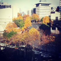 This is auckland city from the view in my hostel during fall.