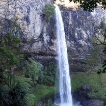 A waterfall near raglan