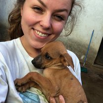 Little puppy