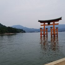Miyajima Torii Gates Torii Gates at Miyajima Shrine
