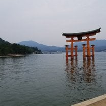 Torii Gates at Miyajima Shrine 