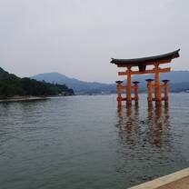 Torii Gates at Miyajima Shrine 