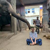 One elephant eating its food of my head! 