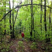 Walking in the deep forest