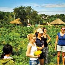 Volunteerson a farm in the Philippines