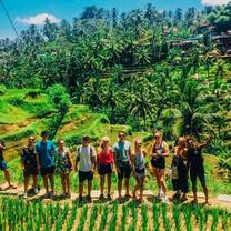 Rice fields on day 5