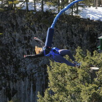 Weekly optional activities Weekly optional activities