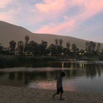 in the desert