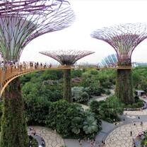 Gardens by the bay tourist attraction in Singapore.