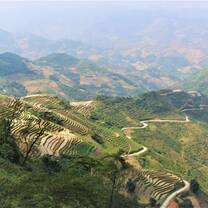 Winding road through the fields of Vietnam