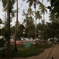 From the beautiful accommodations 