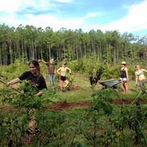 Wheelbarrow crew posing at the tea house gardens