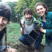 planting the next generation of fruit trees