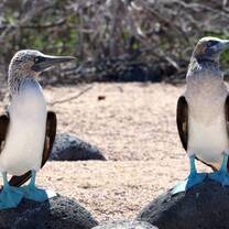 Galapagos Islands