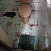 Sanitary standard