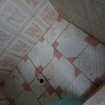 the shower