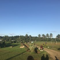 View from school